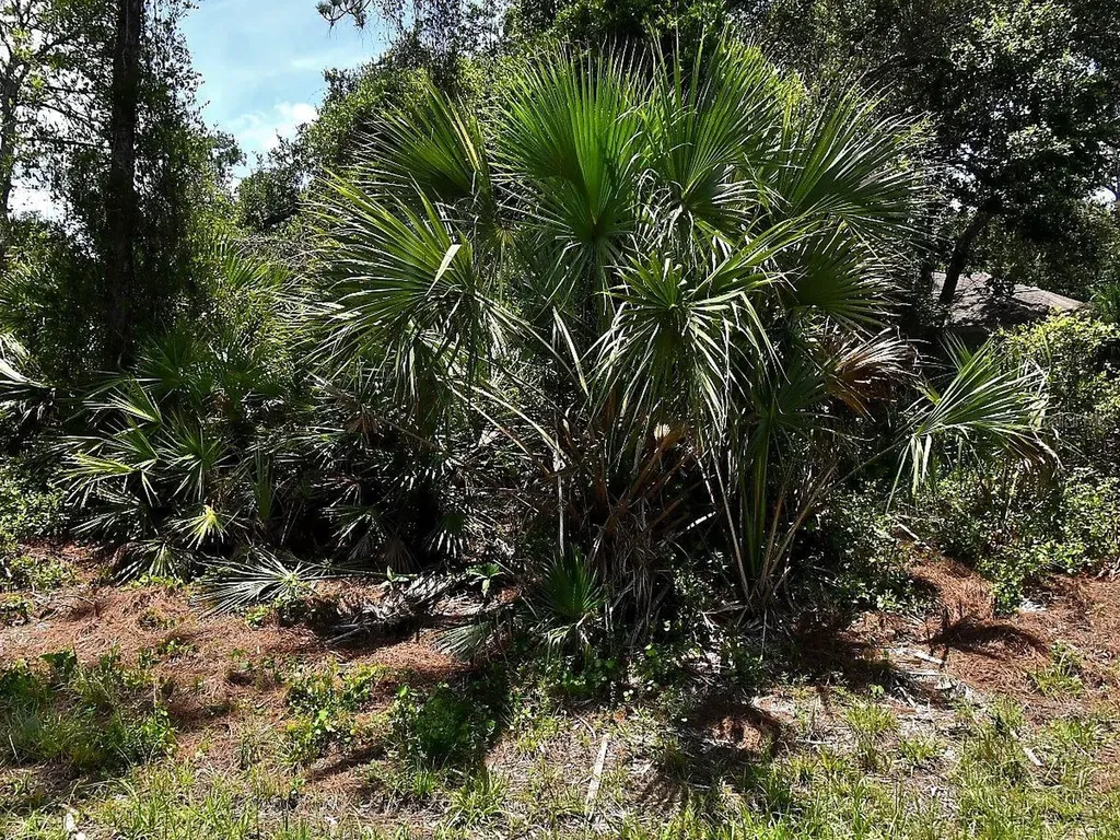 Van Eck Road North Port FL 34291