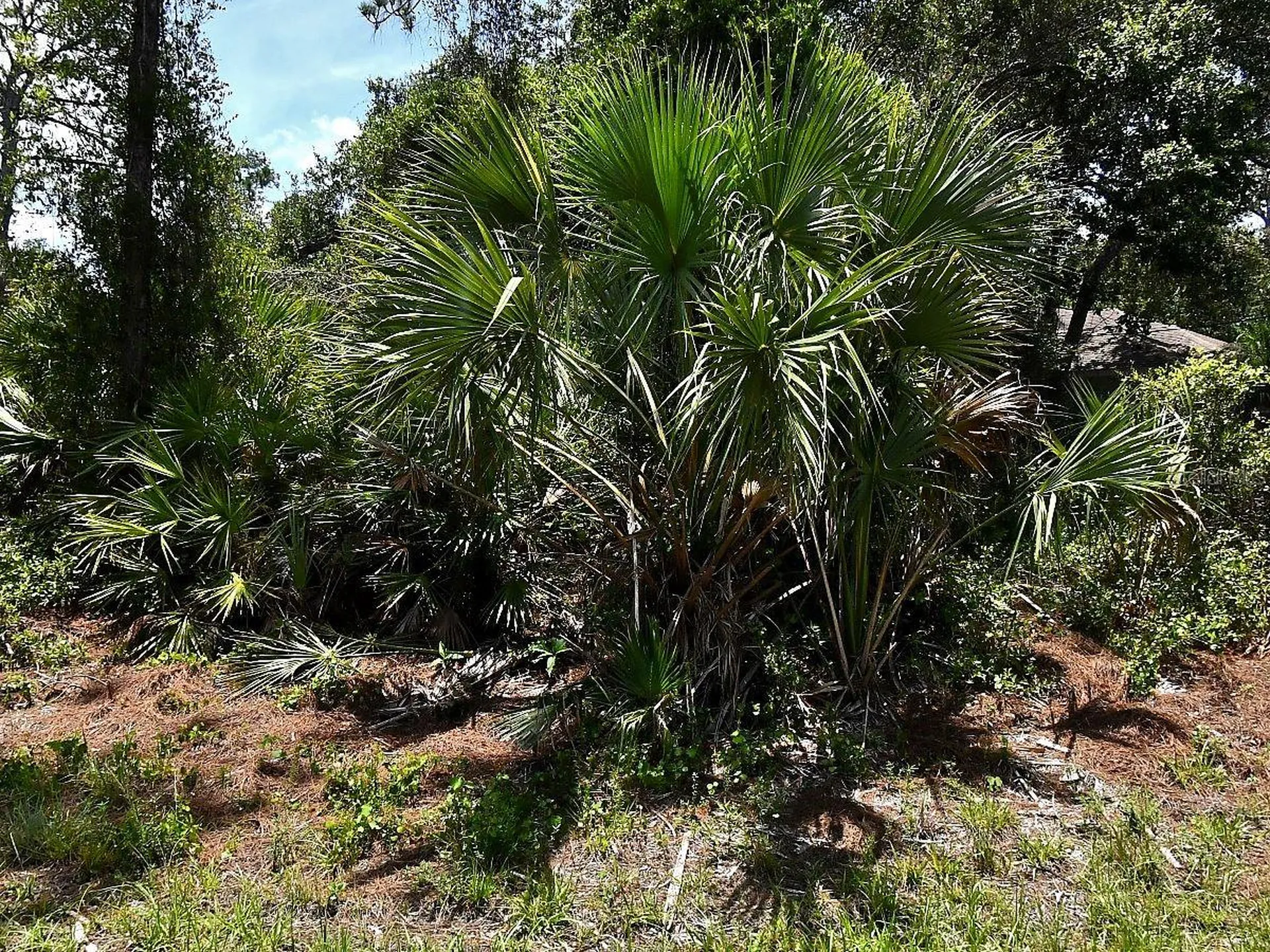 Van Eck Road North Port FL 34291