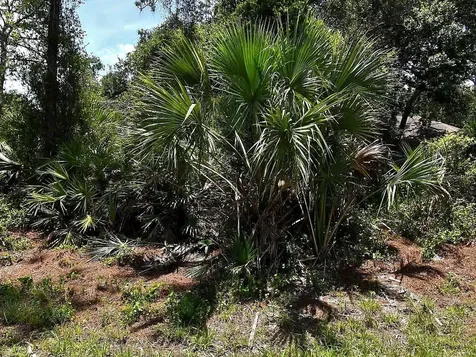 Van Eck Road North Port FL 34291