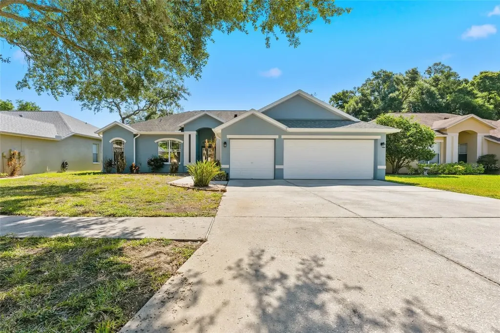 1115 Lumsden Trace Circle Valrico FL 33594
