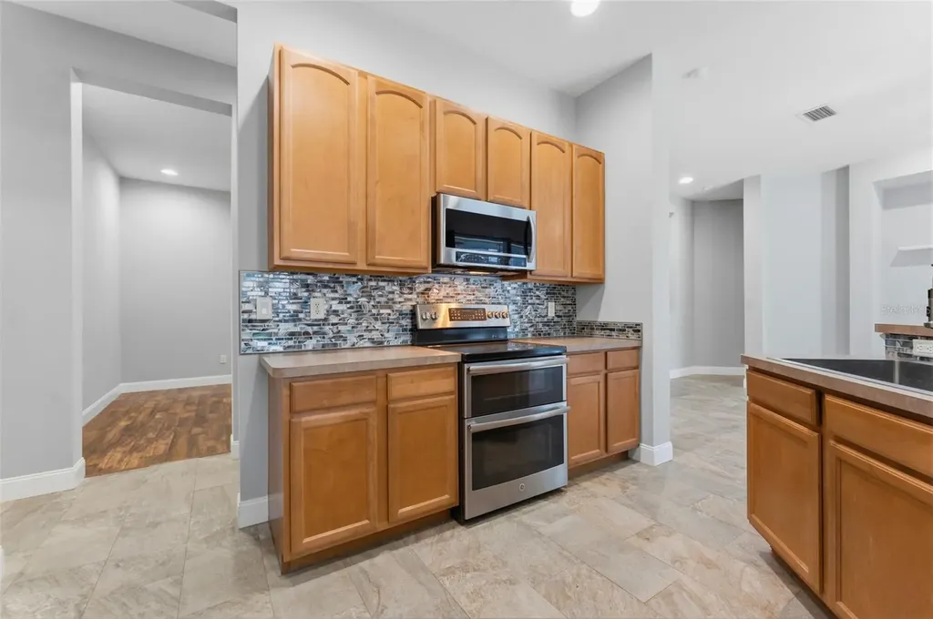 1115 Lumsden Trace Circle Valrico FL 33594