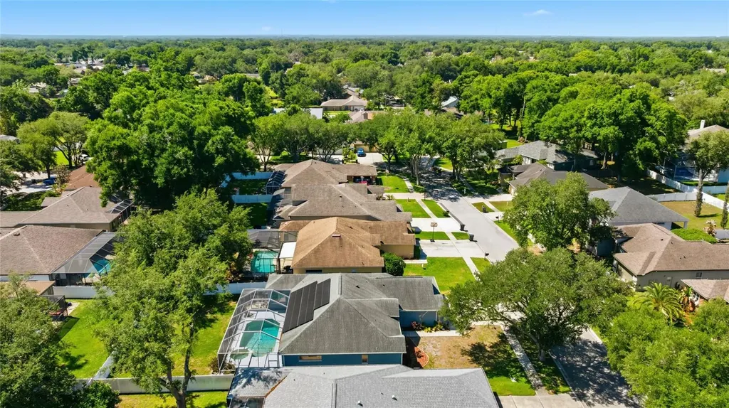 1115 Lumsden Trace Circle Valrico FL 33594