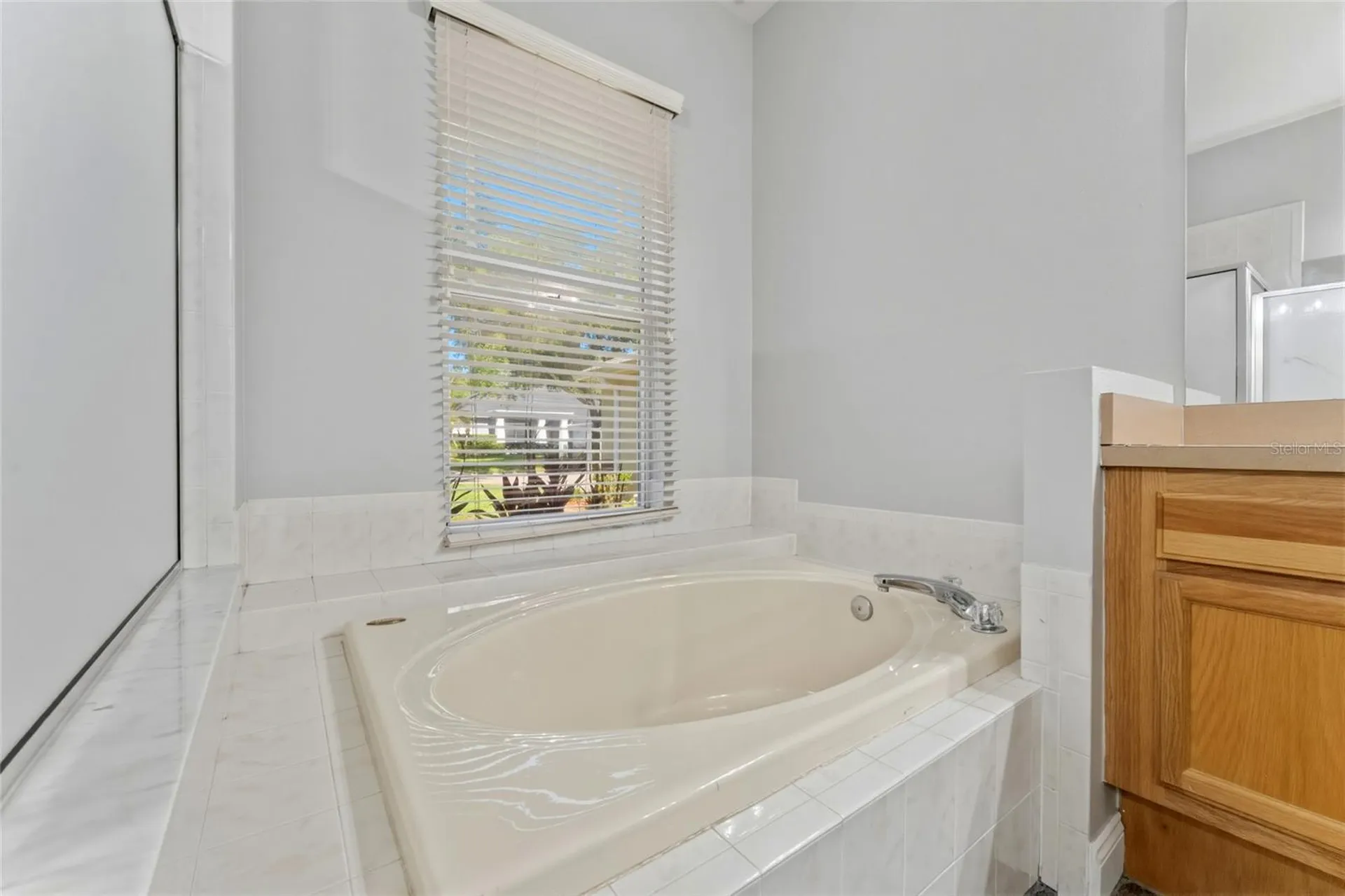 1115 Lumsden Trace Circle Valrico FL 33594