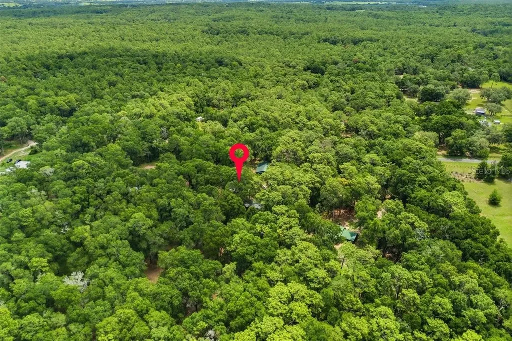 9986 S Forestline Avenue Inverness FL 34452