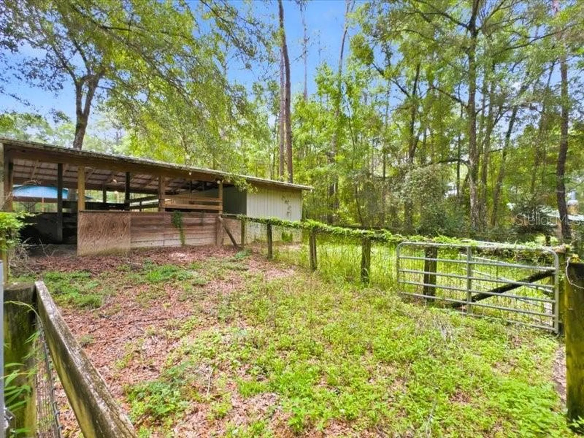 9986 S Forestline Avenue Inverness FL 34452