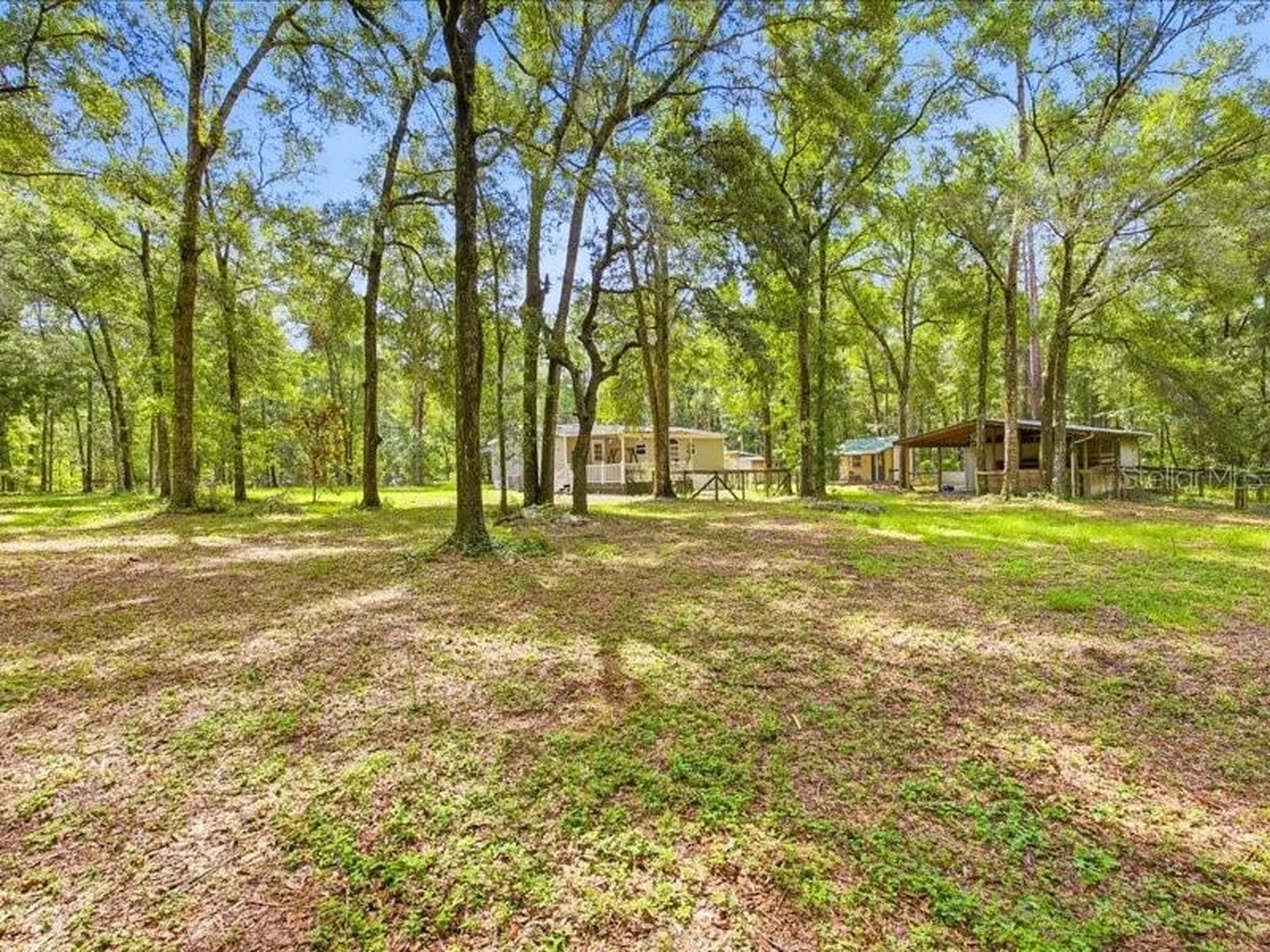 9986 S Forestline Avenue Inverness FL 34452