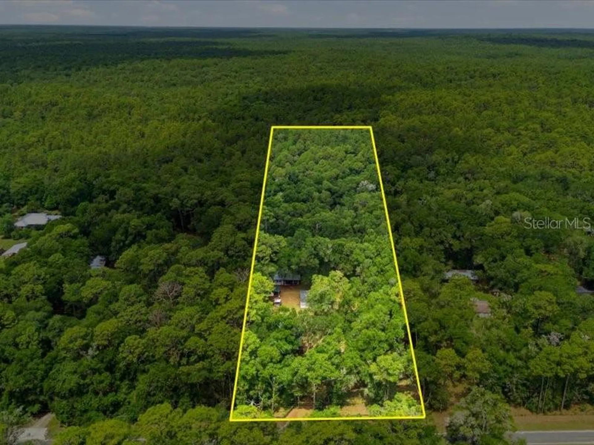9986 S Forestline Avenue Inverness FL 34452