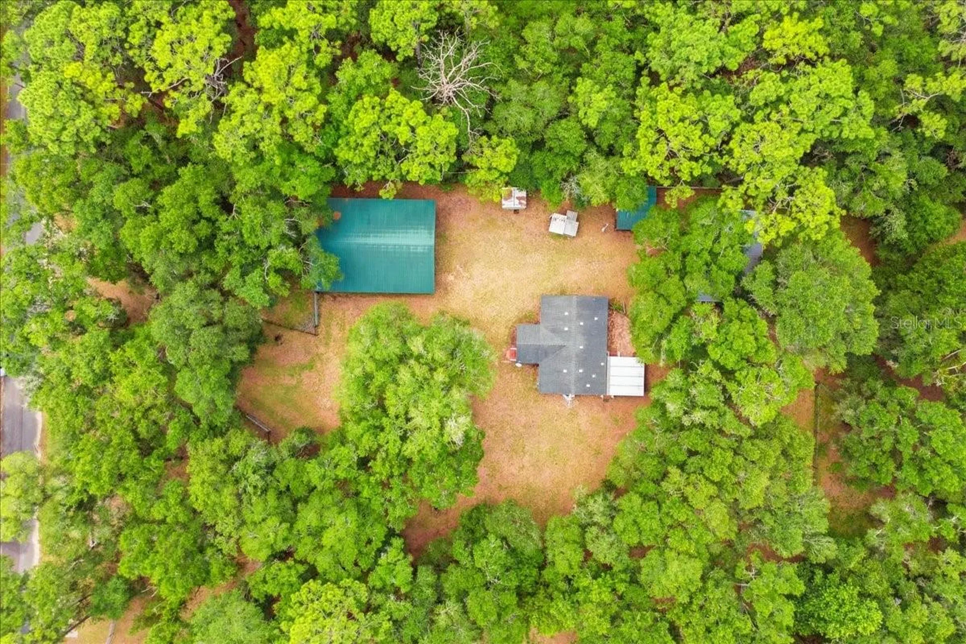 9986 S Forestline Avenue Inverness FL 34452
