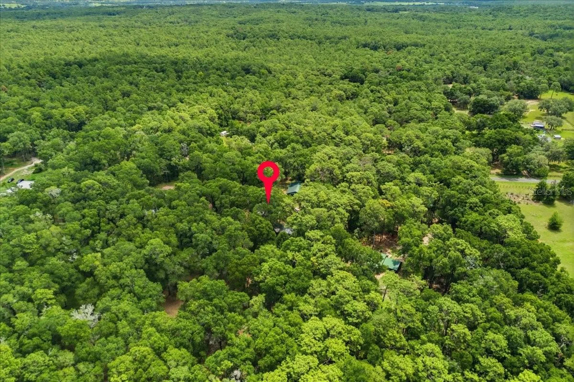 9986 S Forestline Avenue Inverness FL 34452