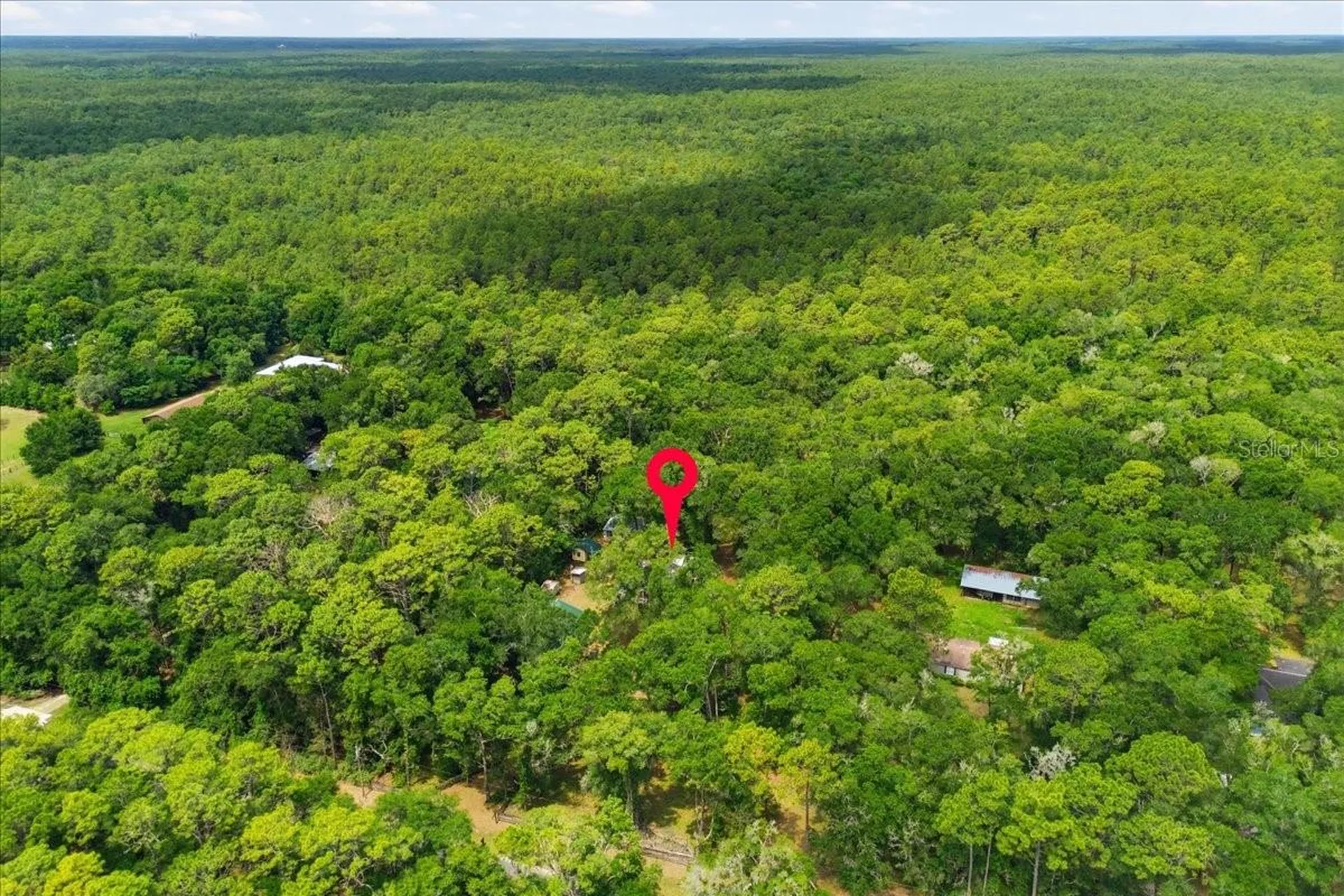9986 S Forestline Avenue Inverness FL 34452