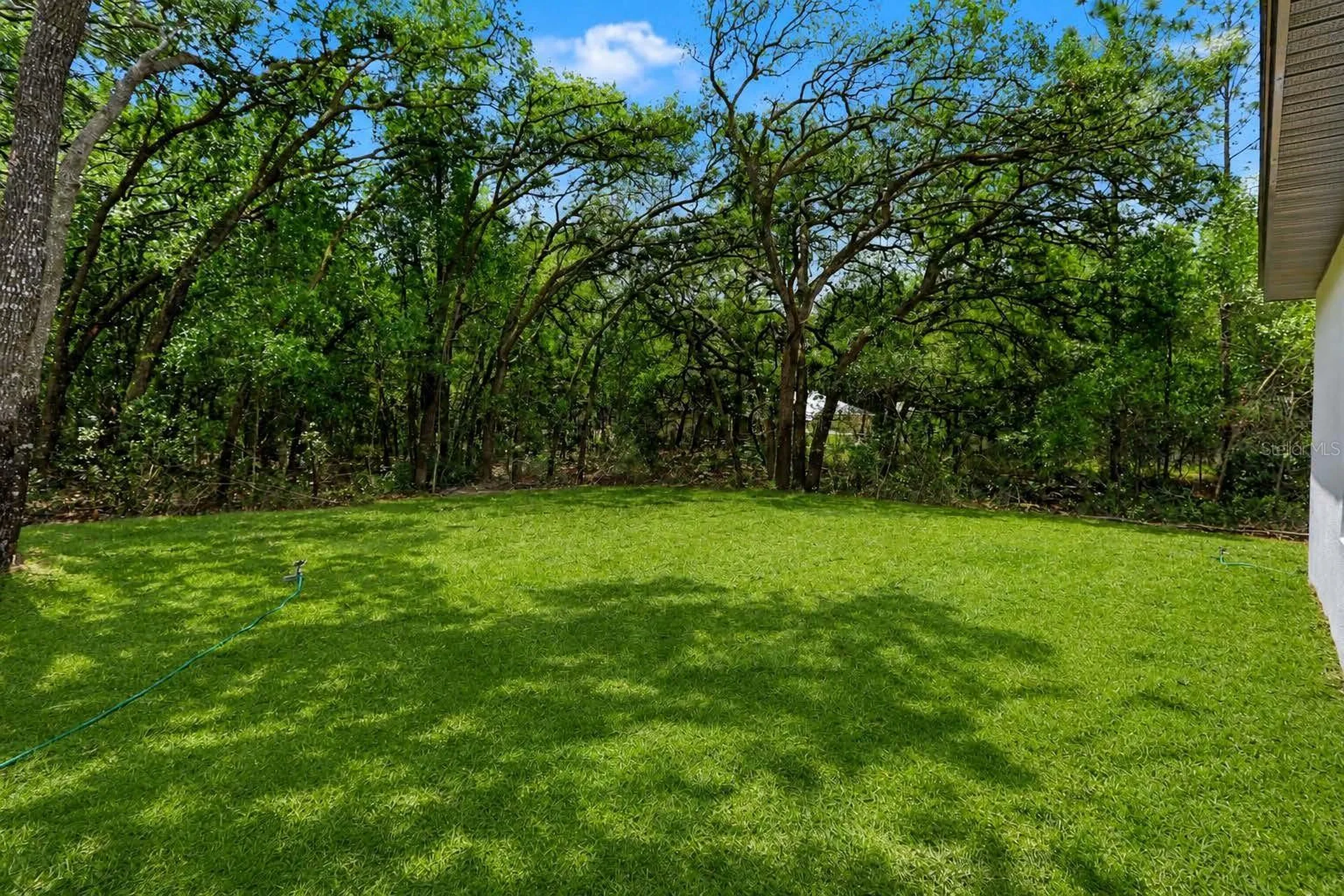 8547 N Trojan Drive Citrus Springs FL 34433