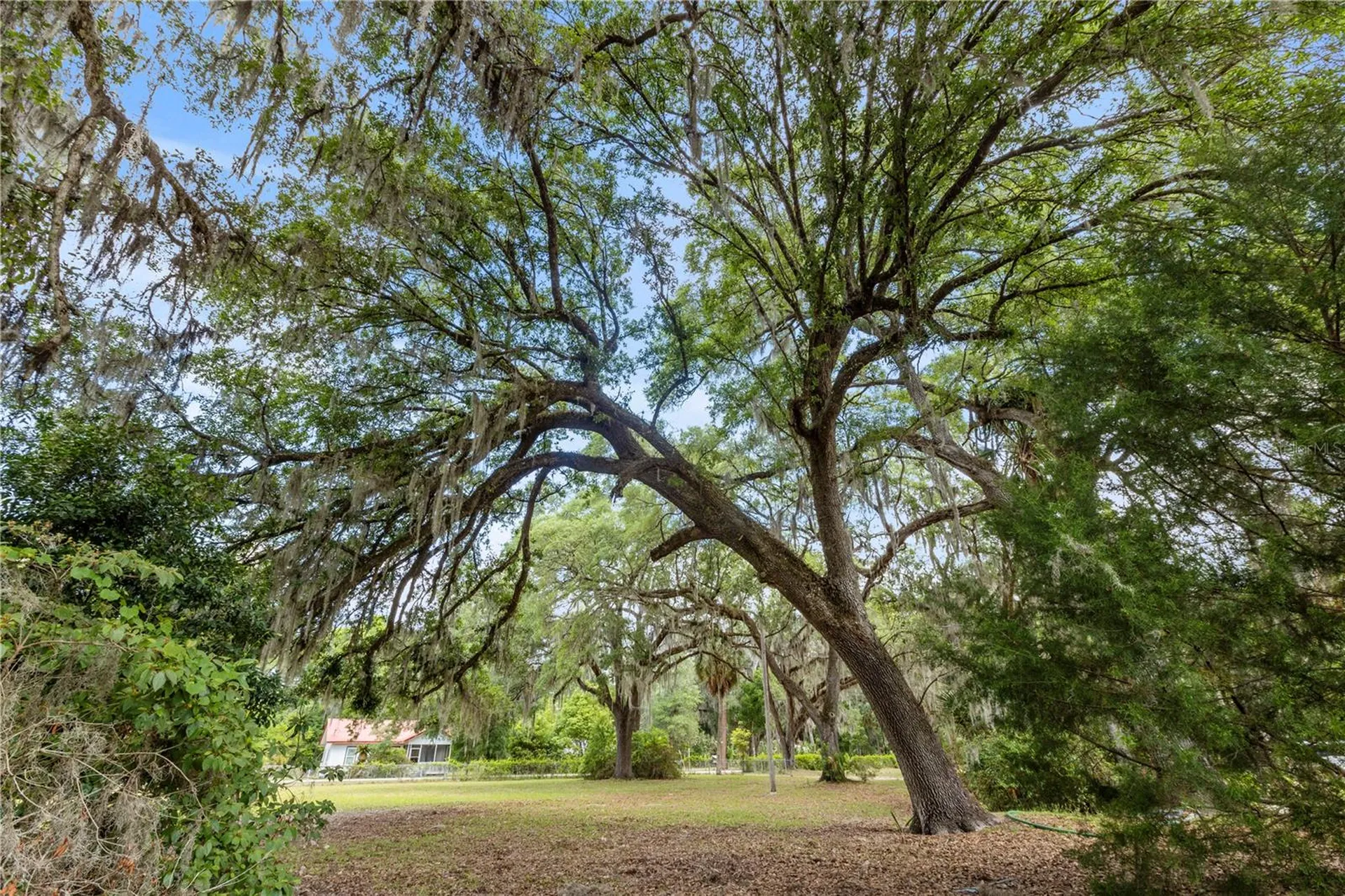 155 Roddy Road Palatka FL 32177
