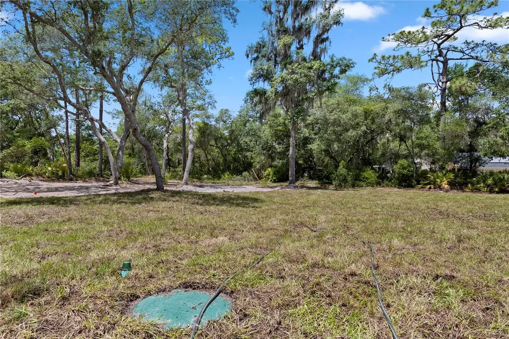30076 Apricot Avenue Eustis FL 32736
