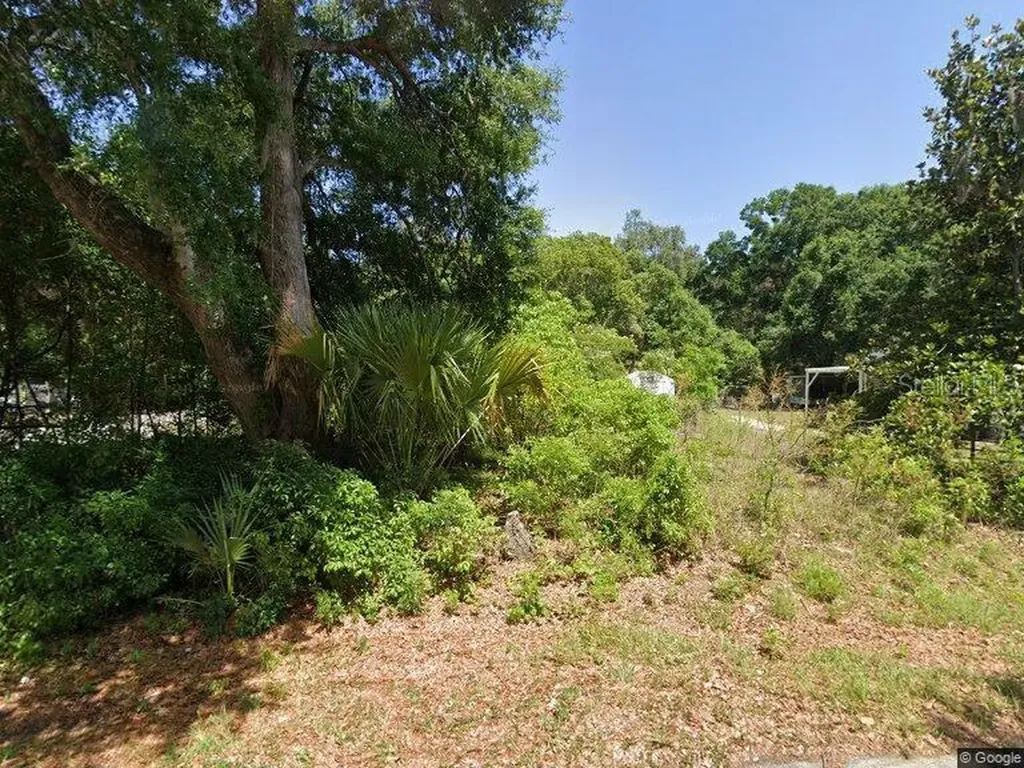 14301 SE 94th Avenue Summerfield FL 34491