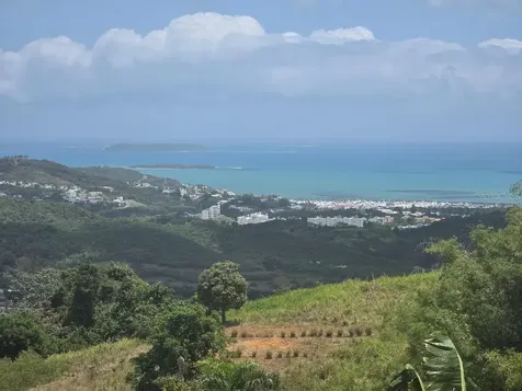 Quintas De Ceiba Ceiba PR 00735