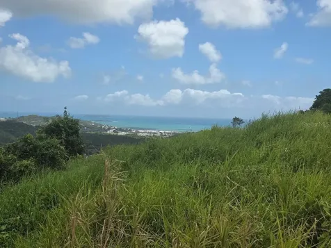 Quintas De Ceiba Ceiba PR 00735