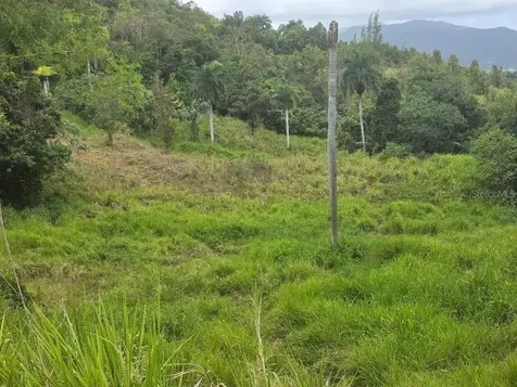Quintas De Ceiba Ceiba PR 00735