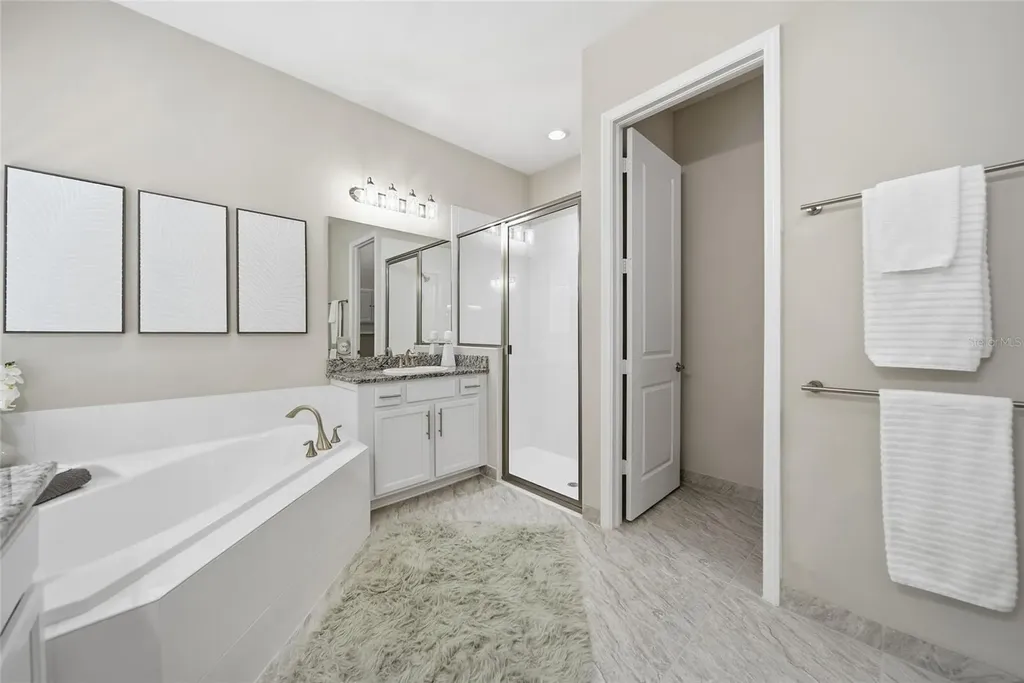 30423 Tristania Court Wesley Chapel FL 33543