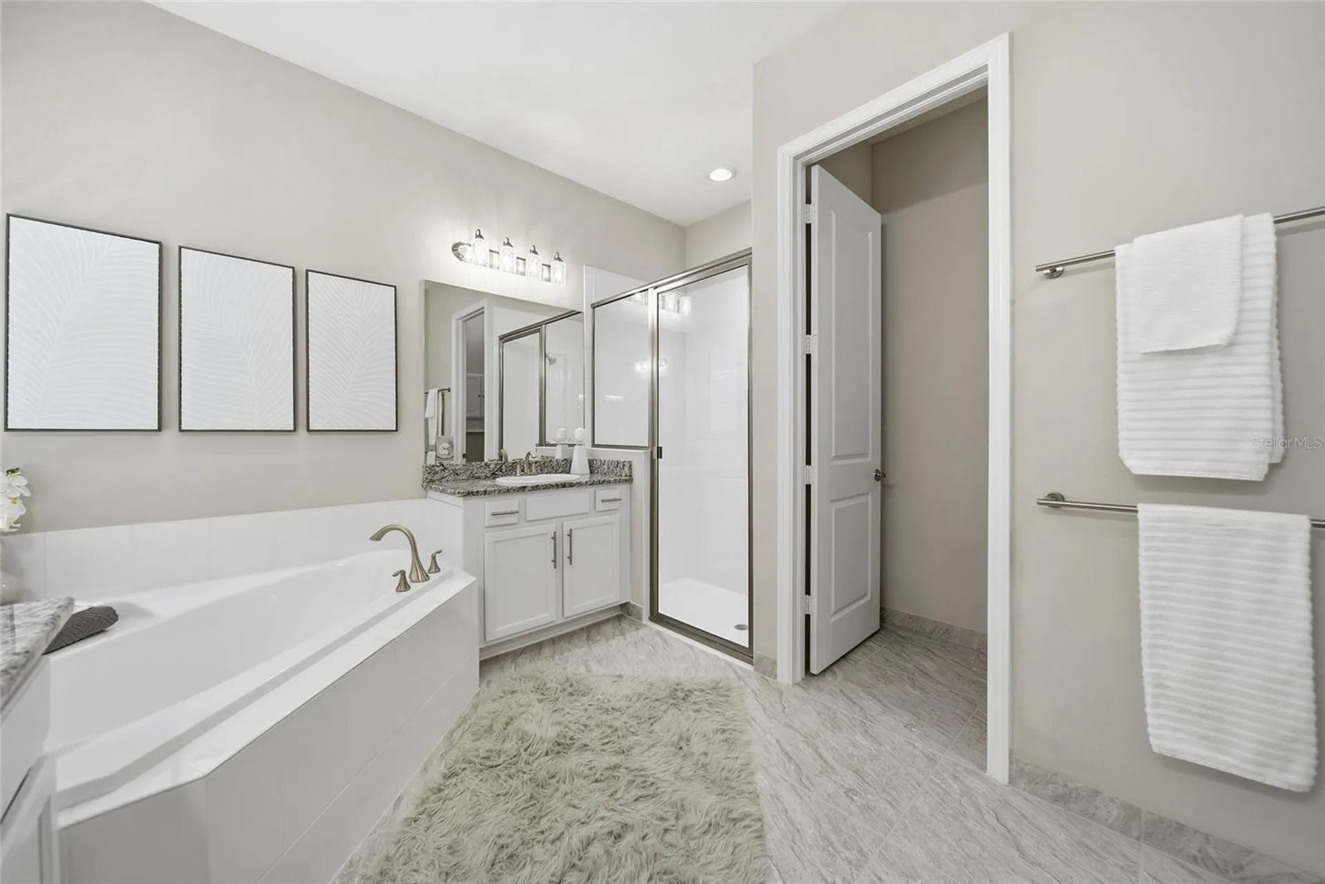30423 Tristania Court Wesley Chapel FL 33543