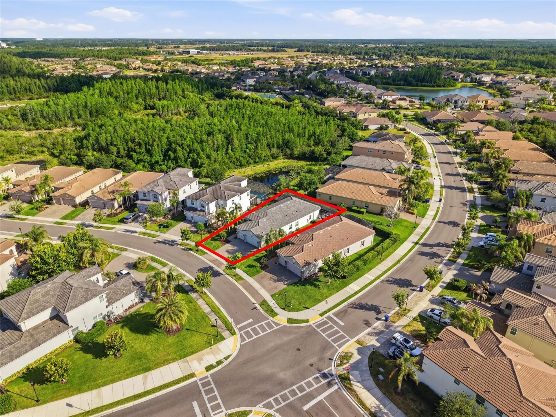30423 Tristania Court Wesley Chapel FL 33543