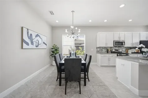 30423 Tristania Court Wesley Chapel FL 33543