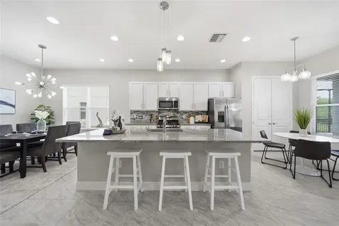 30423 Tristania Court Wesley Chapel FL 33543