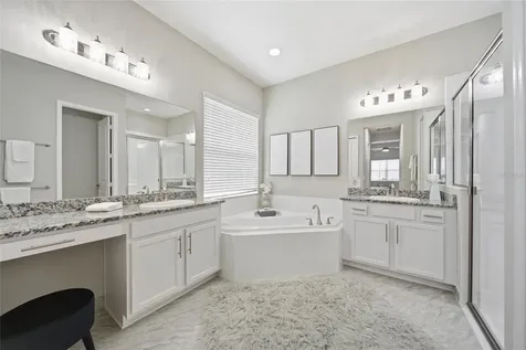 30423 Tristania Court Wesley Chapel FL 33543