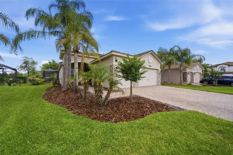 30423 Tristania Court Wesley Chapel FL 33543