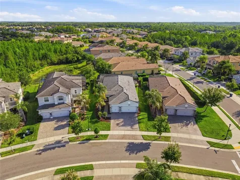 30423 Tristania Court Wesley Chapel FL 33543