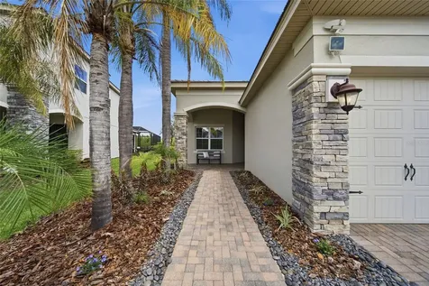 30423 Tristania Court Wesley Chapel FL 33543