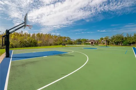 30423 Tristania Court Wesley Chapel FL 33543