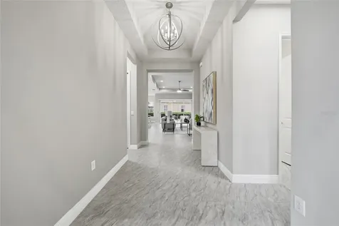 30423 Tristania Court Wesley Chapel FL 33543
