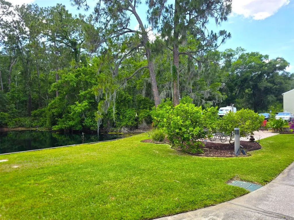 1873 Mazo Manor Lutz FL 33558