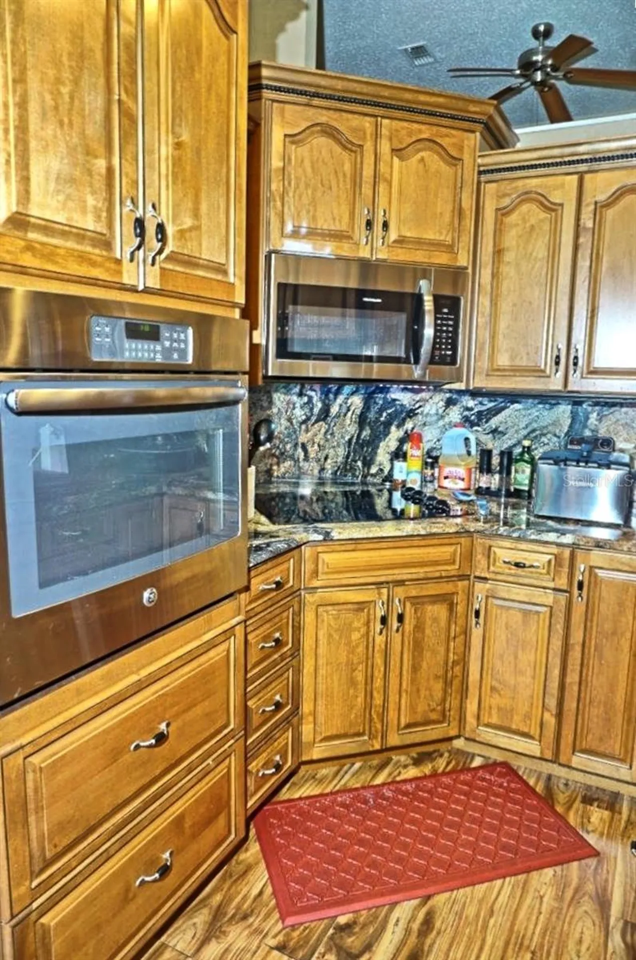 1873 Mazo Manor Lutz FL 33558