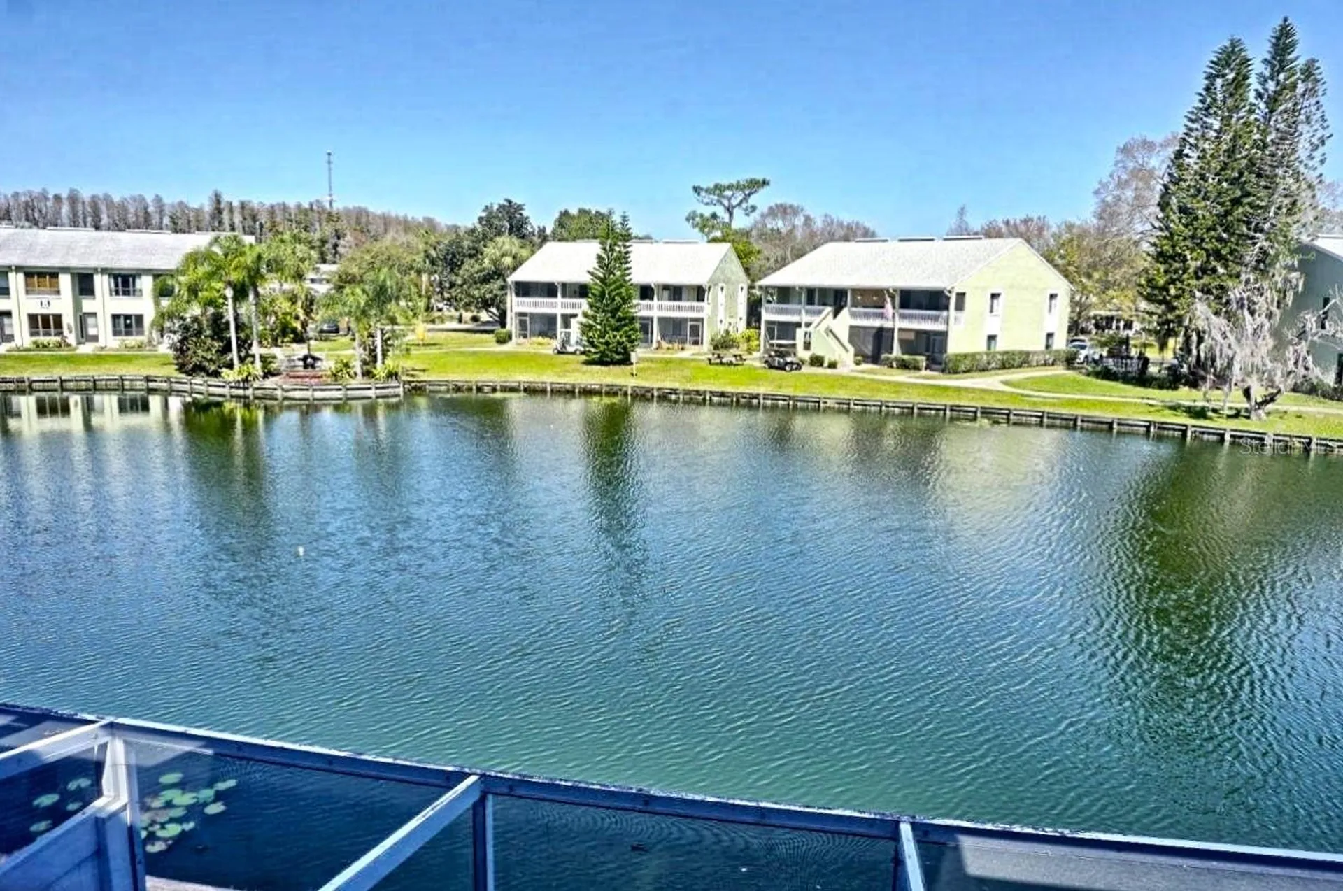 1873 Mazo Manor Lutz FL 33558