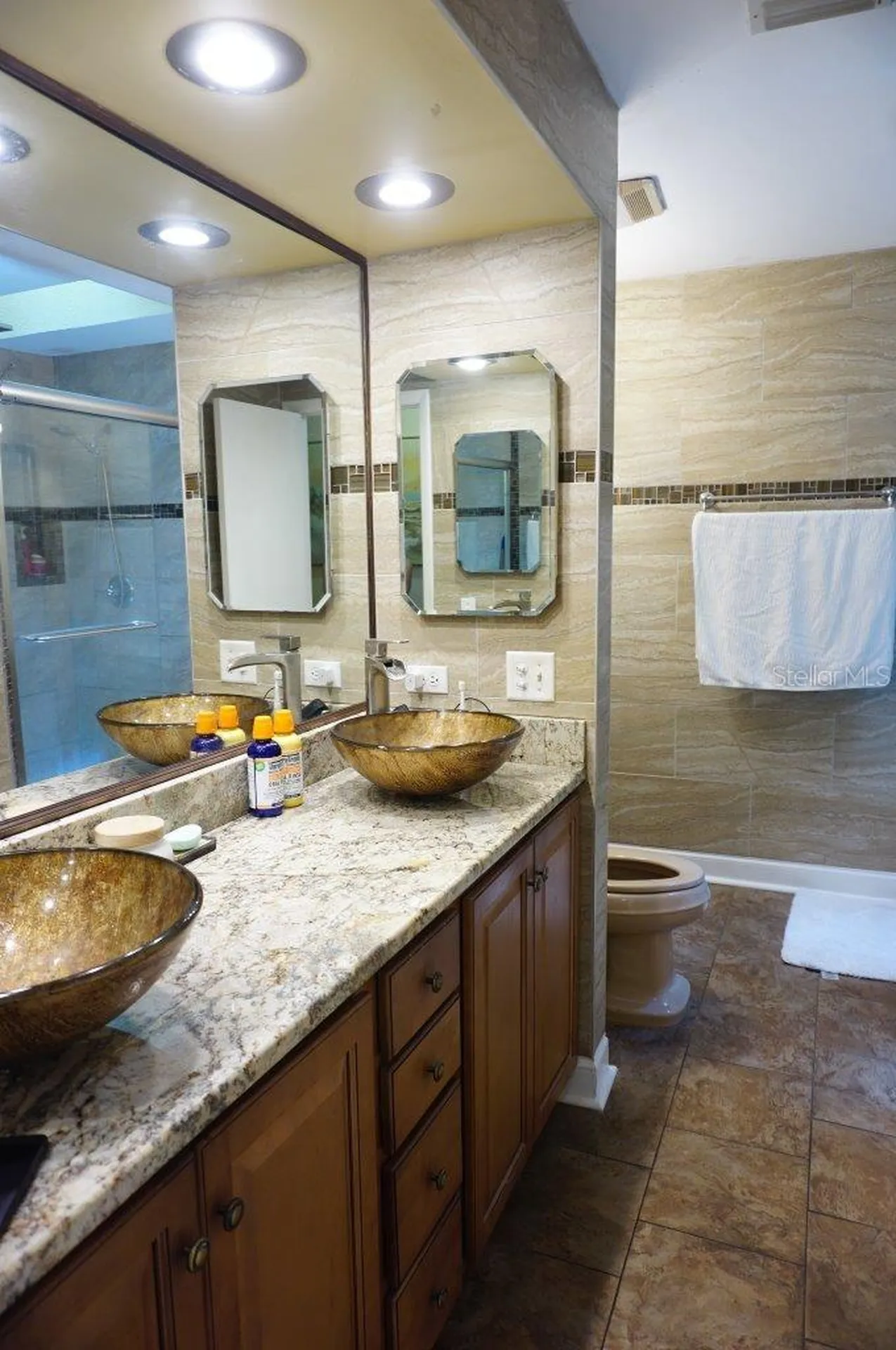 1873 Mazo Manor Lutz FL 33558