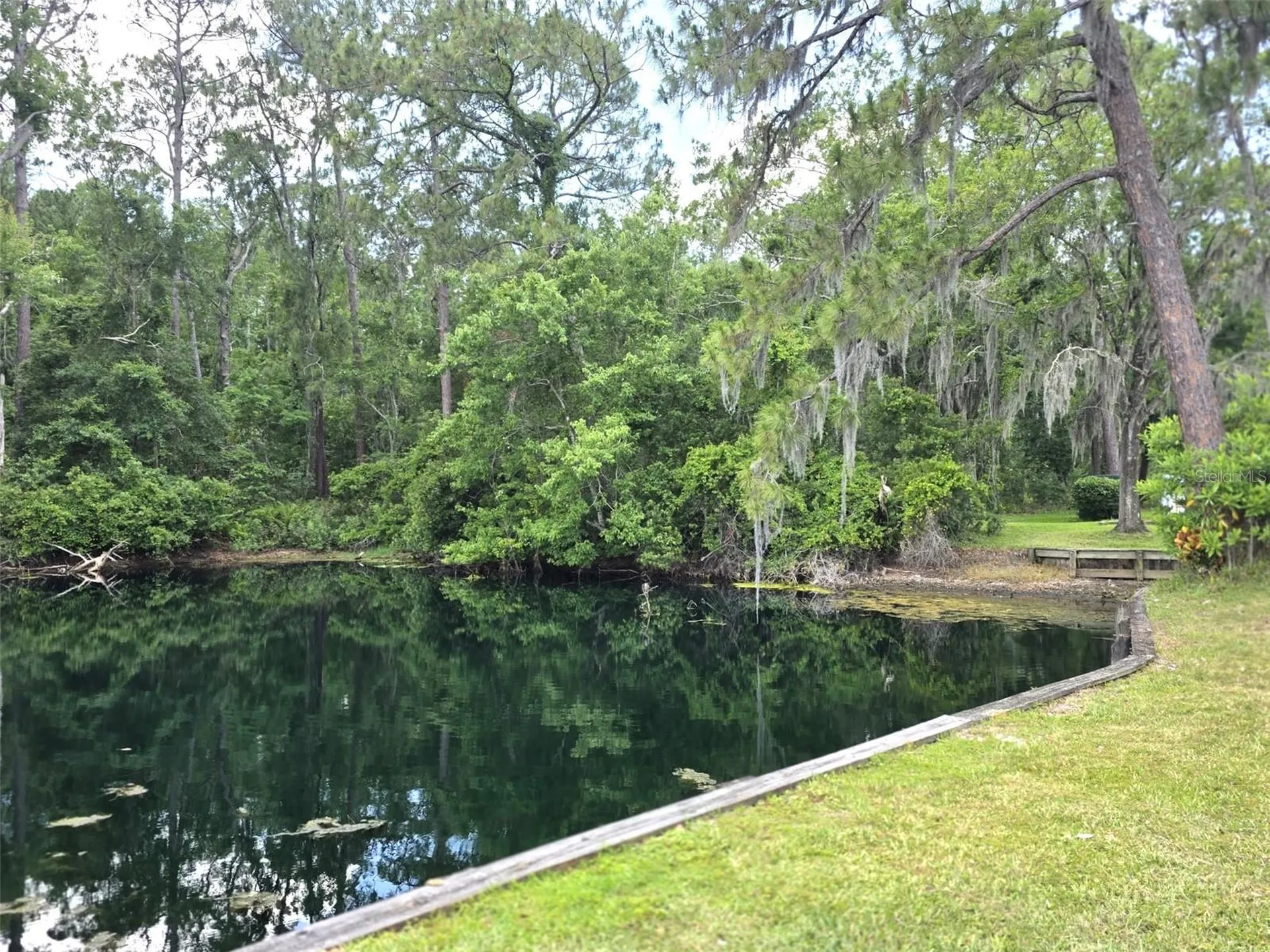 1873 Mazo Manor Lutz FL 33558