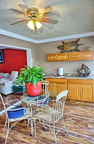 1873 Mazo Manor Lutz FL 33558