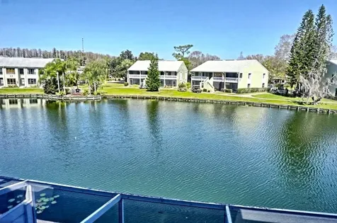 1873 Mazo Manor Lutz FL 33558