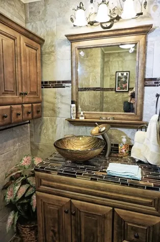 1873 Mazo Manor Lutz FL 33558