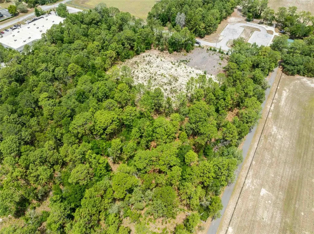 15022 Gar Street Spring Hill FL 34609