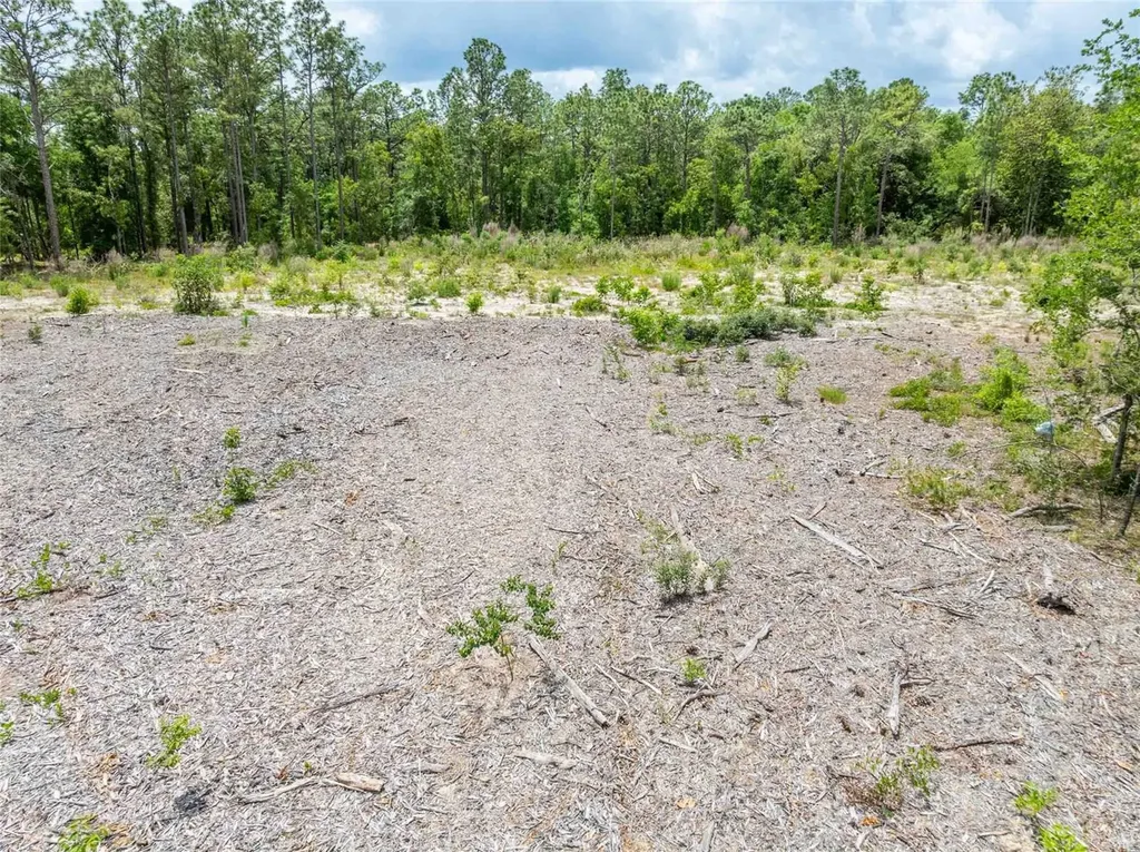 15022 Gar Street Spring Hill FL 34609
