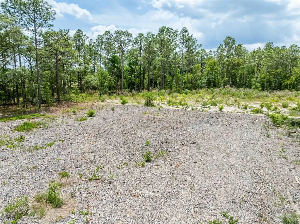 15022 Gar Street Spring Hill FL 34609
