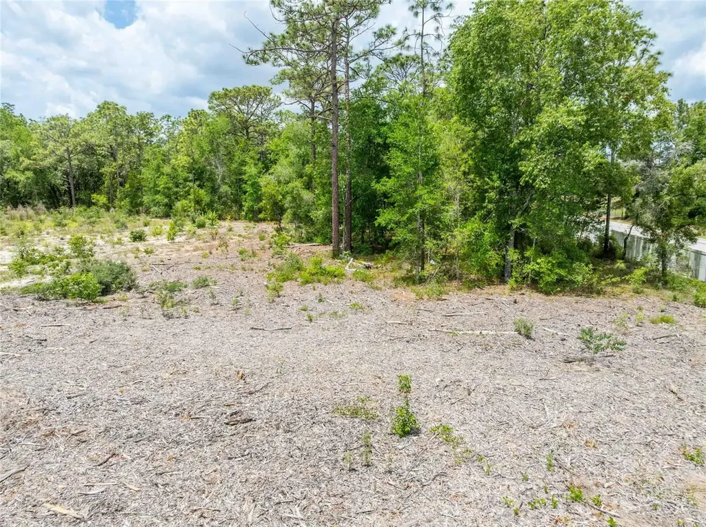 15022 Gar Street Spring Hill FL 34609