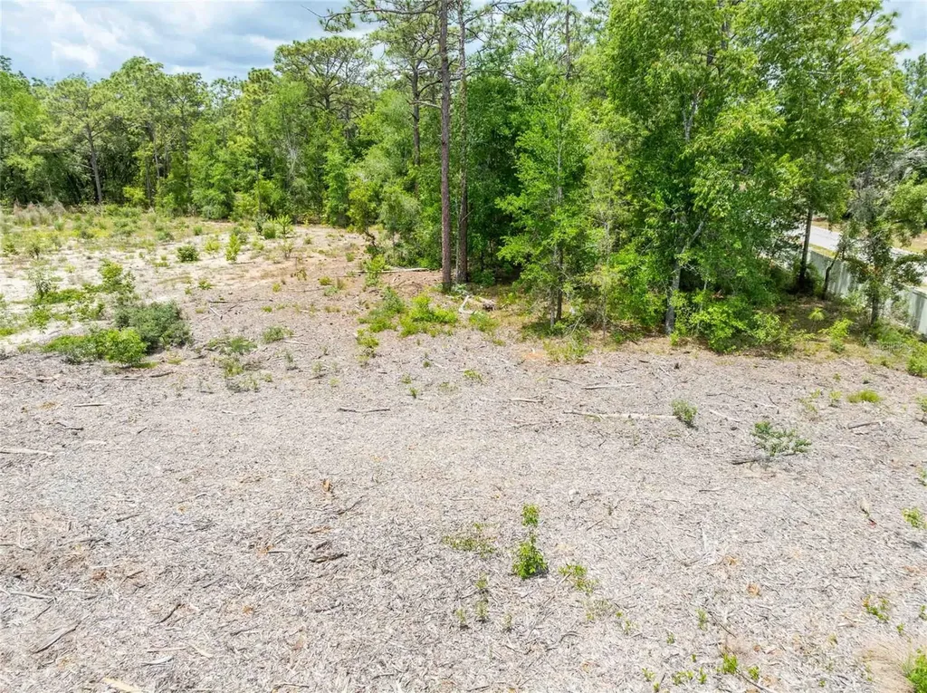 15022 Gar Street Spring Hill FL 34609