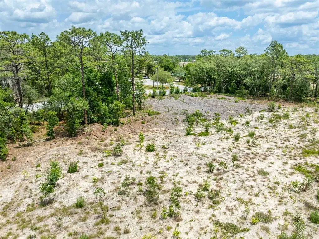 15022 Gar Street Spring Hill FL 34609