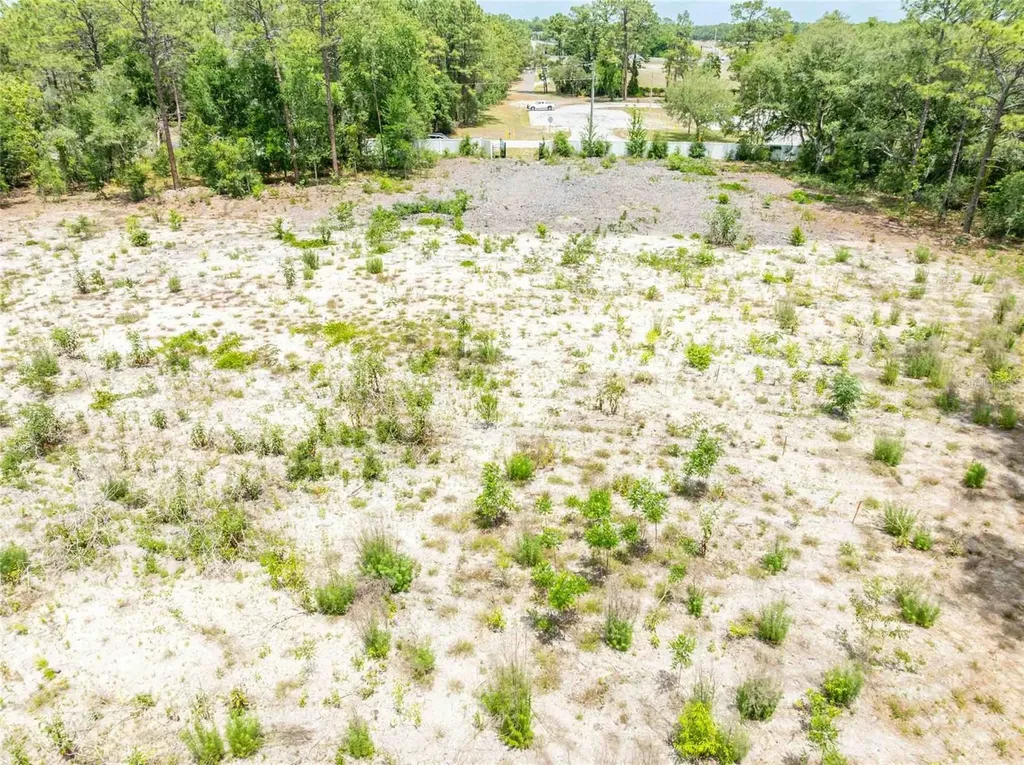 15022 Gar Street Spring Hill FL 34609