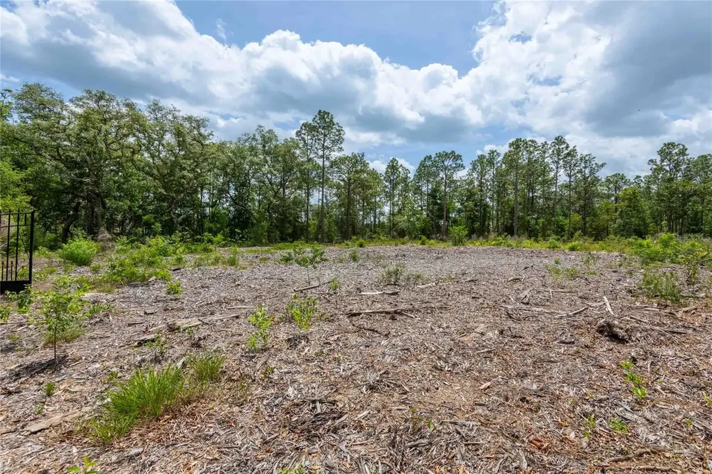 15022 Gar Street Spring Hill FL 34609