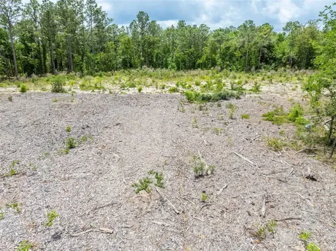 15022 Gar Street Spring Hill FL 34609