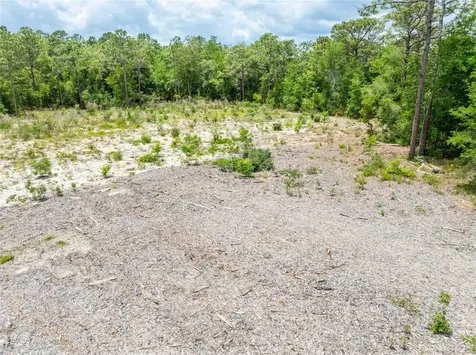 15022 Gar Street Spring Hill FL 34609